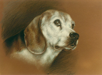 Lady - Sketched in memory of a Friend's Pet