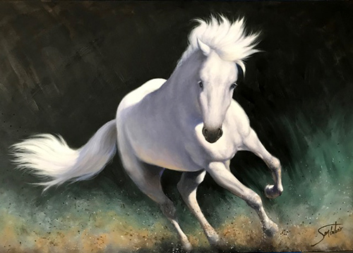 Night Thunder - Donated to Main-Gate Horse Ranch