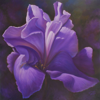 Purple Rain, from Sambataro's new Floral Expressions series