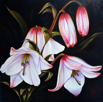 Garden Bells, from Sambataro's new Floral Expressions series