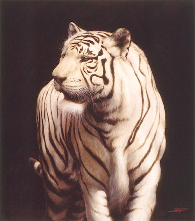 White Tiger - A painting to raise money for Endangered Wildlife