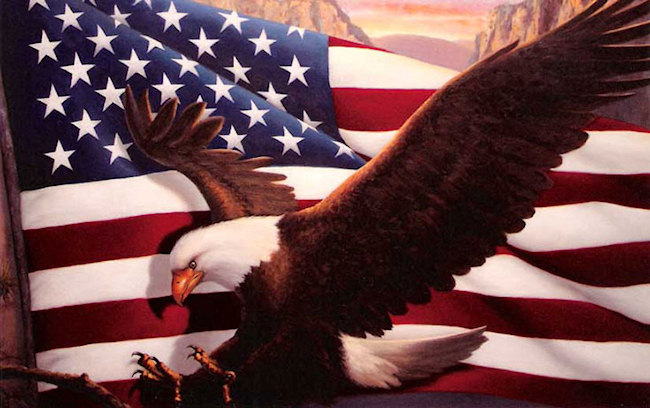 Freedom - American Eagle & Flag